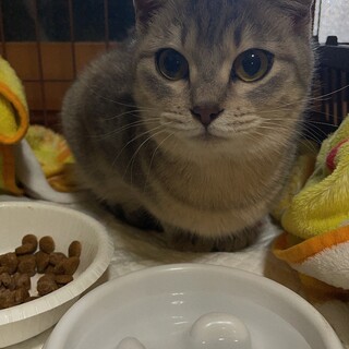 甘え上手で人懐っこいココちゃん！！