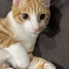 の写真