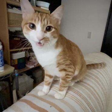の写真
