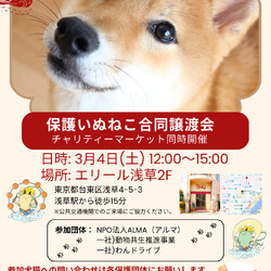 浅草エリール保護犬猫譲渡会