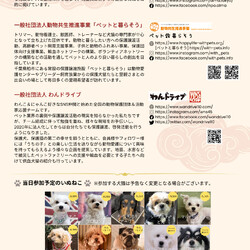 浅草エリール保護犬猫譲渡会 サムネイル2