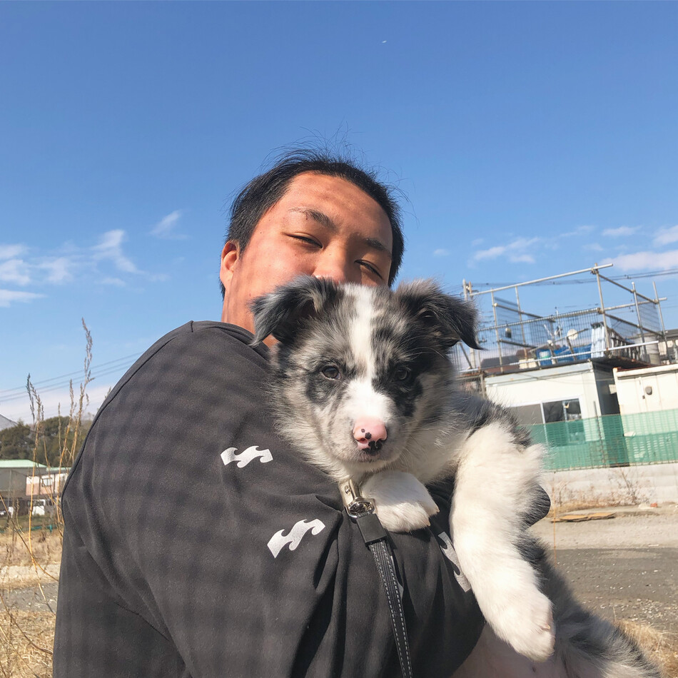 ガフのカバー写真