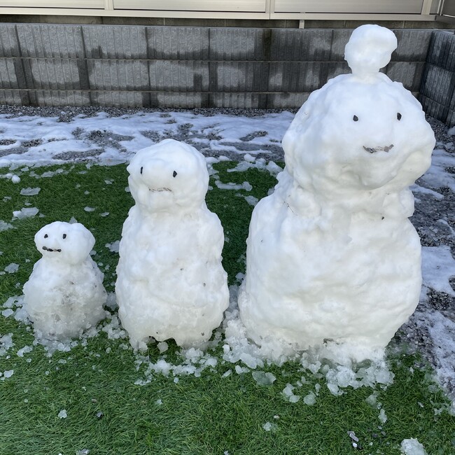 よっち10のカバー写真