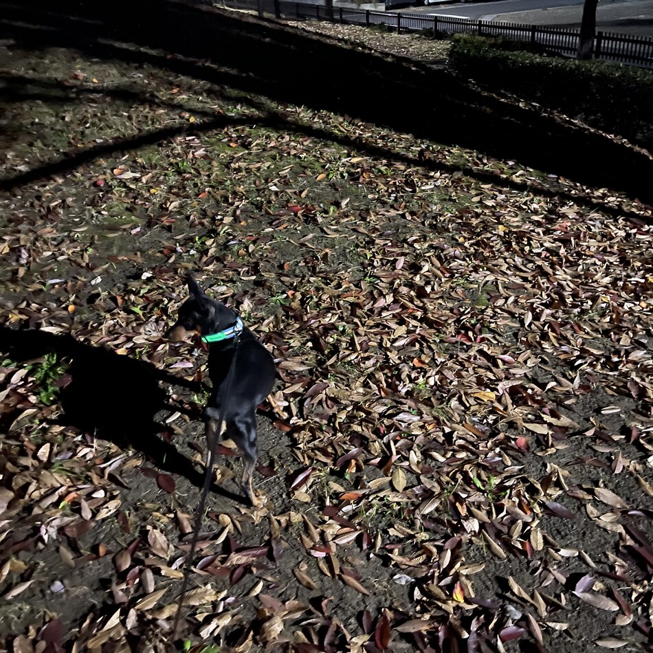 アランのカバー写真