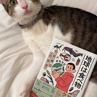 ももた