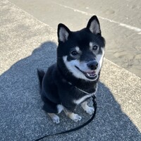 マロン