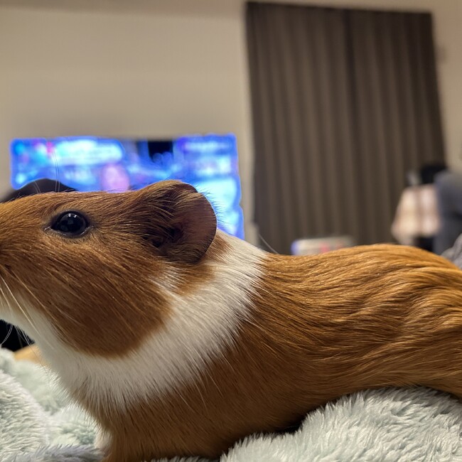 さあちゃん&くぴママのカバー写真