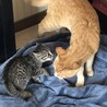 脱走から22週間後のご対面