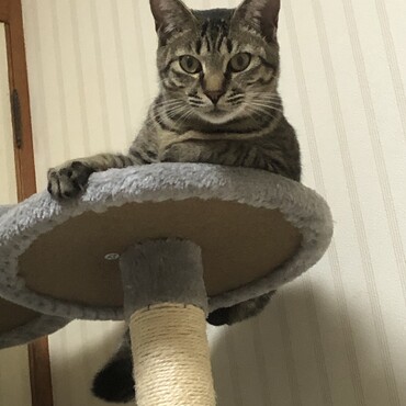 の写真
