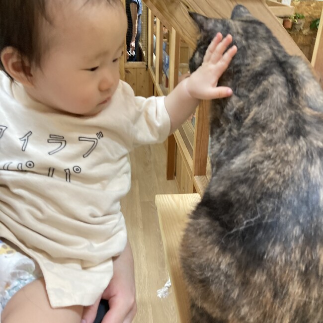 シン0905のカバー写真