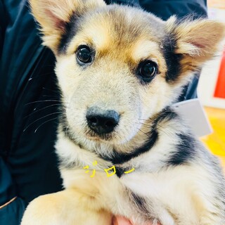 河川敷4兄弟　ジローくん