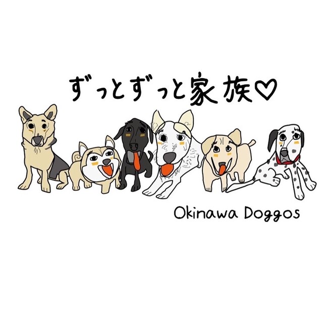 Okinawa Doggos Rescue Networkのカバー写真