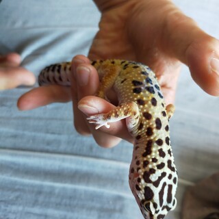 ご応募頂いた方々ありがとうございました。