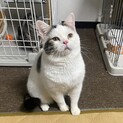 【一時停止中】ぶちゃかわでユニークな性格のおかし君