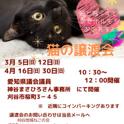 刈谷地域ねこの会　譲渡会