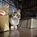 スリゴロ甘えんぼさん