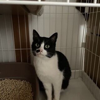 問題なくすごせます！エイズ、白血病キャリア