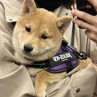 すばる