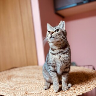 人が大大大好きな女の子