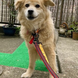 笑顔の素敵な　ららちゃん