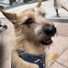 うん、今日もかわいい