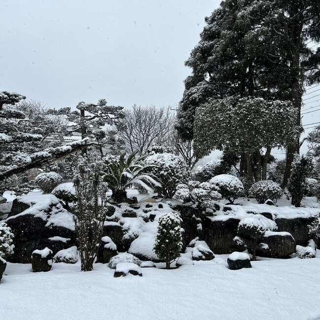 まじかる玲奈のカバー写真