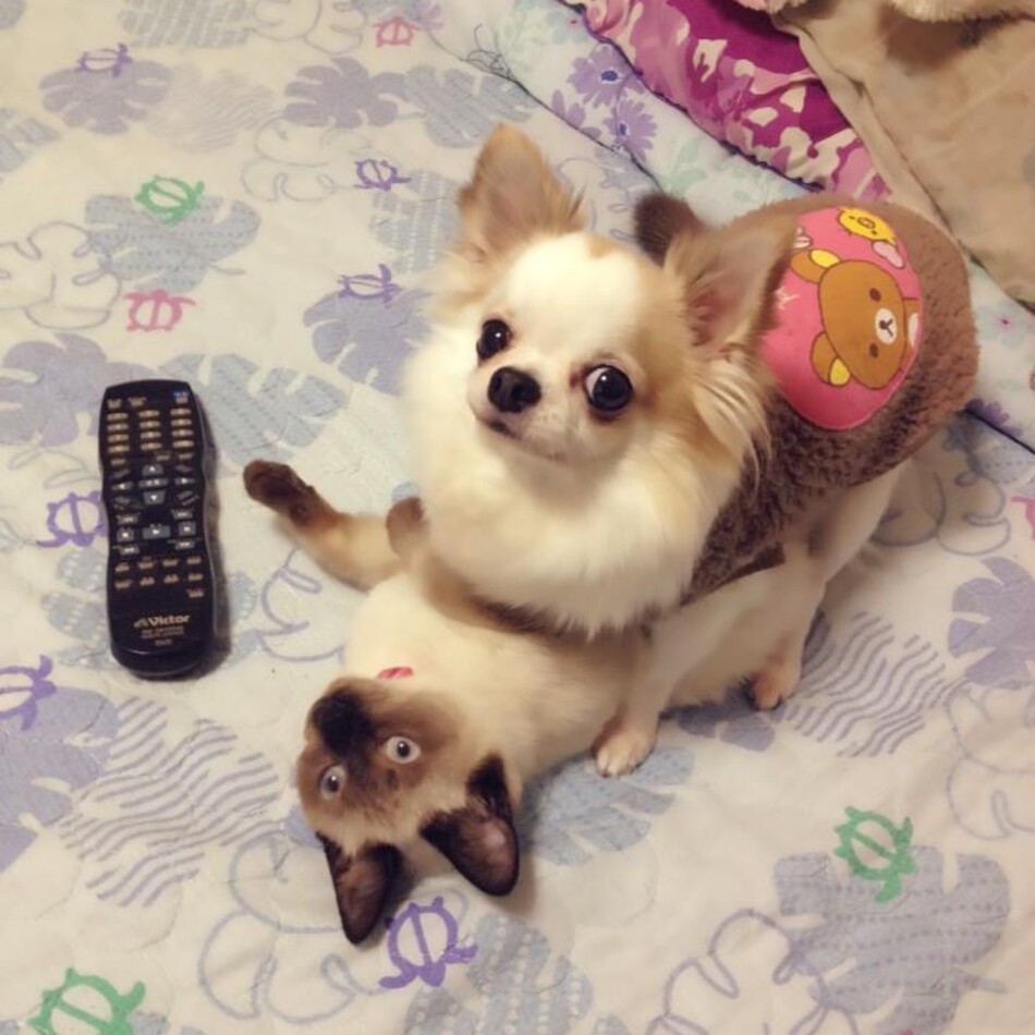 ユウナのカバー写真