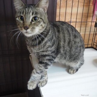 人間だいすき　きいちゃん