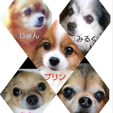 の写真
