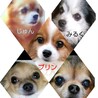 の写真