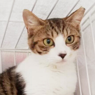 とっても仲良し「美童グランマニエ」＆「白鹿野梨子」