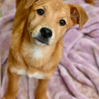 エリオット❤️