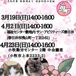 保護猫の譲渡会in春日井