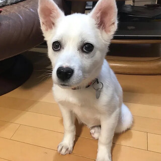 「その」女の子