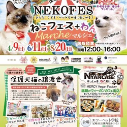 ねこフェス+わんみんなの譲渡会マルシェ