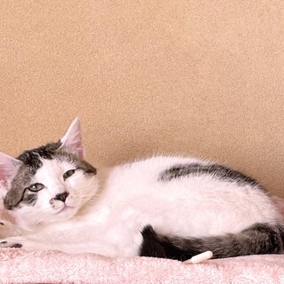 〝ころ君〟です♪