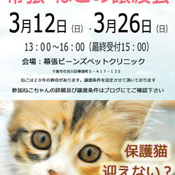 千葉市「 幕張 ねこの譲渡会」動物病院で開催です
