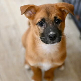 ジャームスです❤️