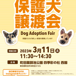 犬の譲渡会 in 町田薬師池公園