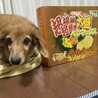 いちごぱぱ