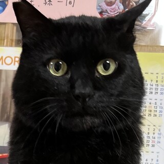 クリクリお目々が可愛い❤️とても優しいピノ君❣️