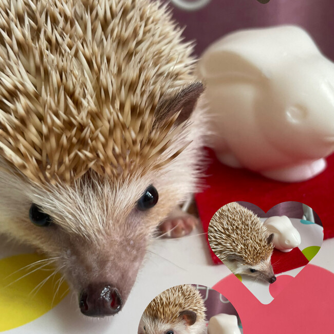 ゆざんのカバー写真