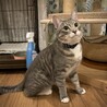 賢く活発。そしてと〜っても甘えん坊。純之助 サムネイル5