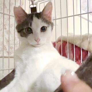 楓くん　約５ヶ月