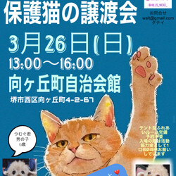 保護猫の譲渡会