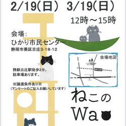 ねこのWa猫譲渡会　静岡市葵区