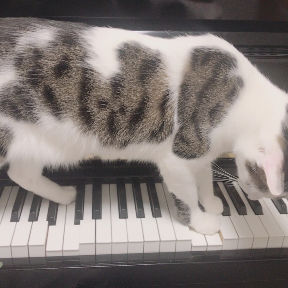 ウルのカバー写真