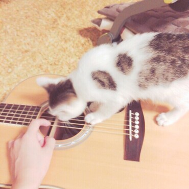 小さい頃のウル、ギターが不思議だったようで弾いてるとよく寄ってきてました