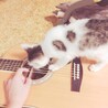 小さい頃のウル、ギターが不思議だったようで弾いてるとよく寄ってきてました