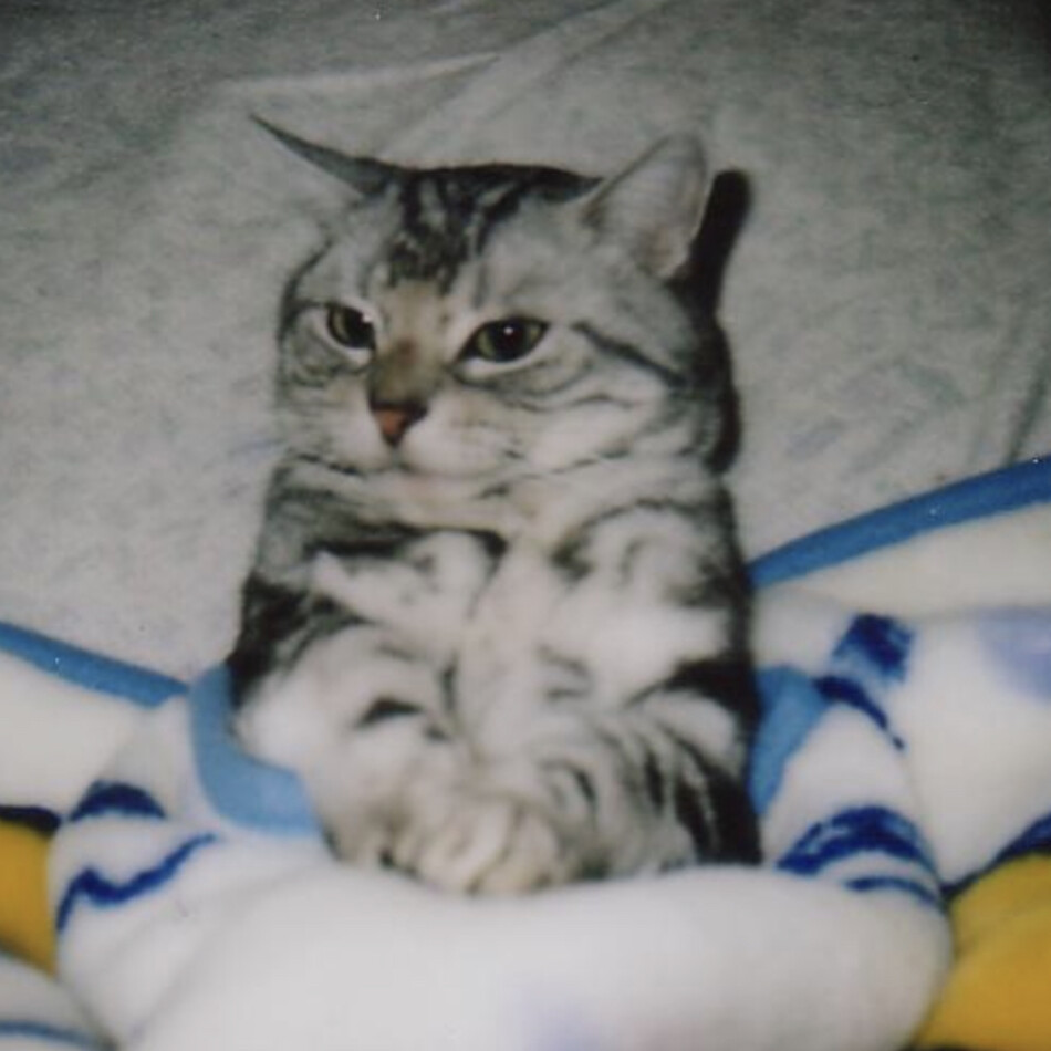 まるのカバー写真